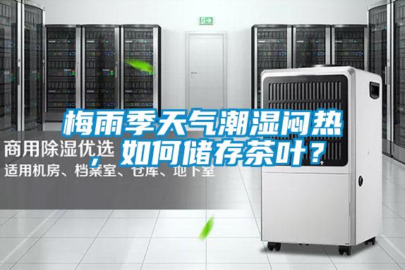 梅雨季天气潮湿闷热，如何储存茶叶？