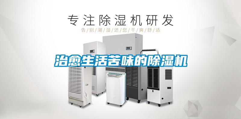 治愈生活苦味的麻豆视频黄网站