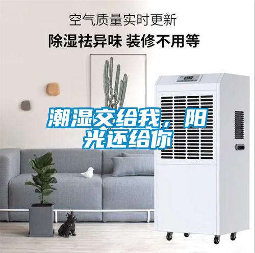 潮湿交给我，阳光还给你