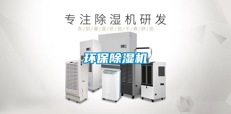 环保麻豆视频黄网站