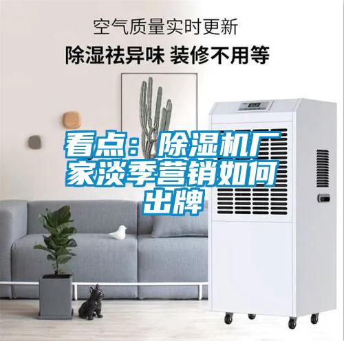 看点：麻豆视频黄网站厂家淡季营销如何出牌