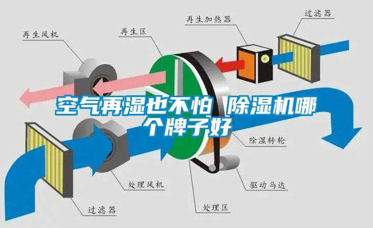 空气再湿也不怕 麻豆视频黄网站哪个牌子好