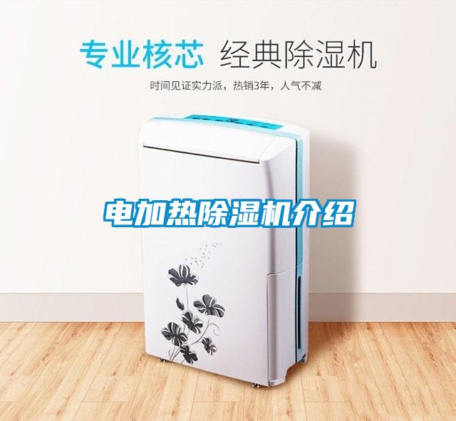 电加热麻豆视频黄网站介绍