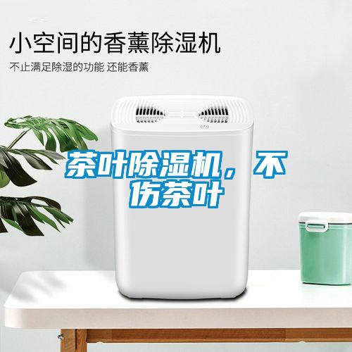 茶叶麻豆视频黄网站，不伤茶叶