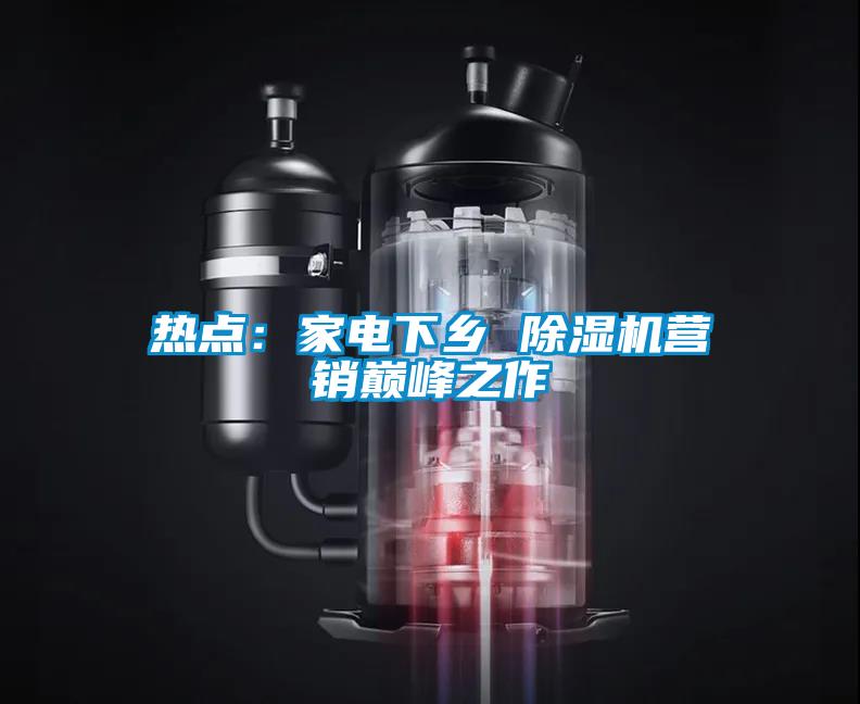 热点：家电下乡 麻豆视频黄网站营销巅峰之作