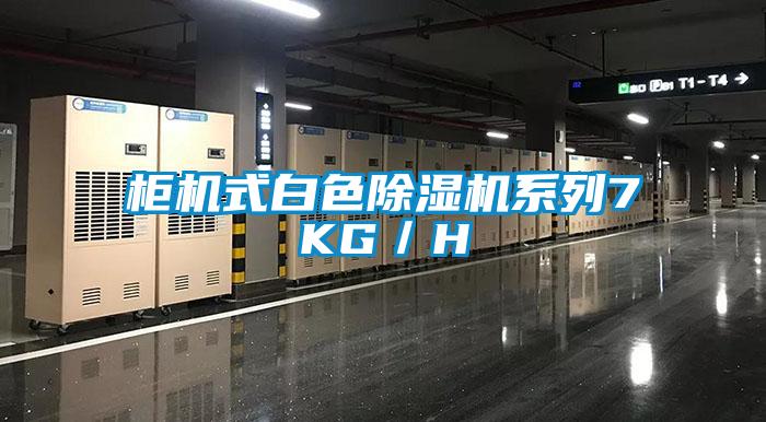 柜机式白色麻豆视频黄网站系列7KG／H