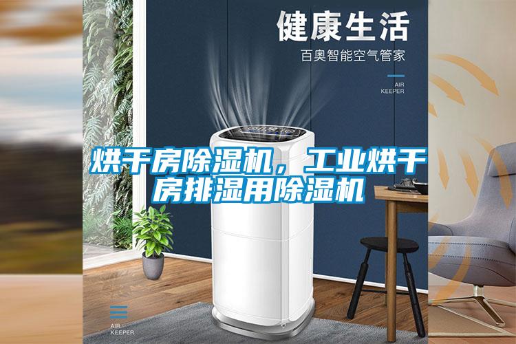 烘干房麻豆视频黄网站，工业烘干房排湿用麻豆视频黄网站