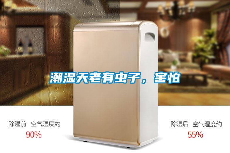 潮湿天老有虫子，害怕