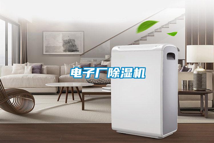 电子厂麻豆视频黄网站
