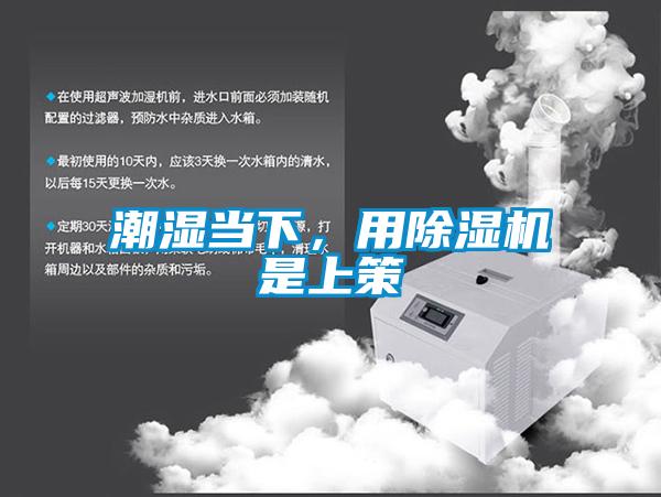 潮湿当下，用麻豆视频黄网站是上策