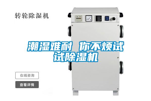 潮湿难耐 你不烦试试麻豆视频黄网站