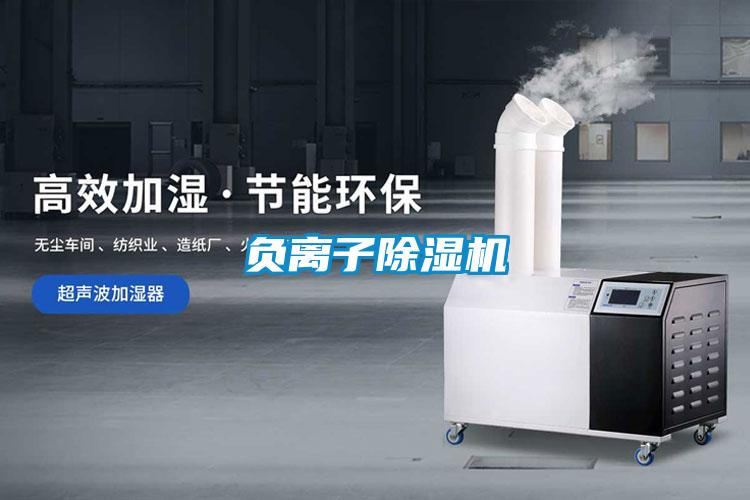 负离子麻豆视频黄网站