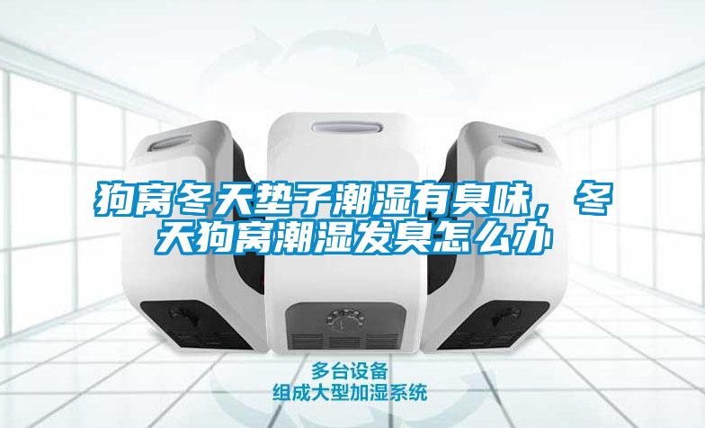 狗窝冬天垫子潮湿有臭味，冬天狗窝潮湿发臭怎么办