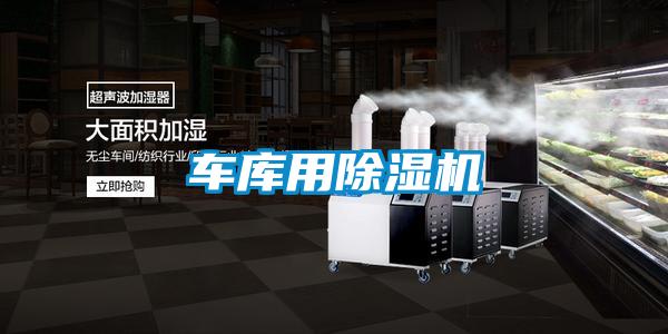 车库用麻豆视频黄网站