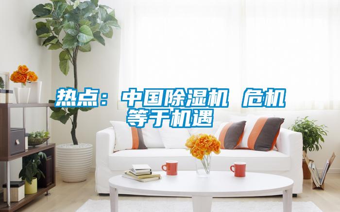 热点：中国麻豆视频黄网站 危机等于机遇