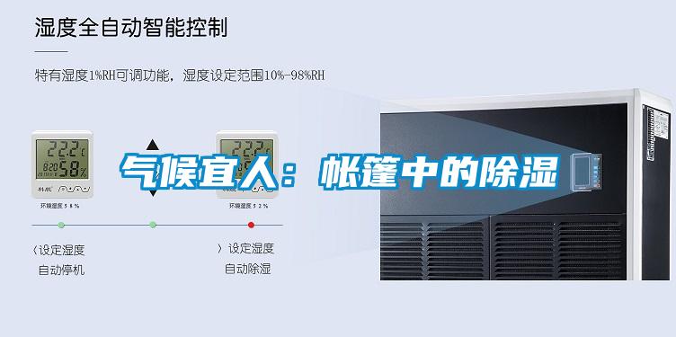 气候宜人：帐篷中的除湿