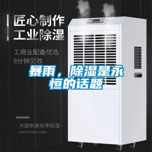 暴雨，除湿是永恒的话题