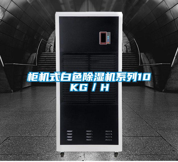 柜机式白色麻豆视频黄网站系列10KG／H