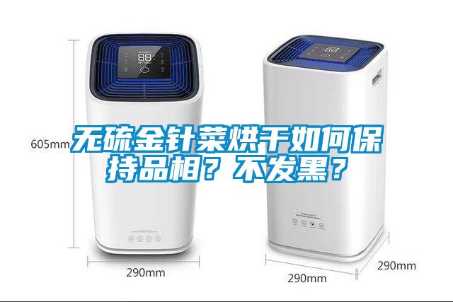 无硫金针菜烘干如何保持品相？不发黑？