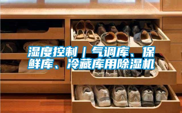 湿度控制｜气调库、保鲜库、冷藏库用麻豆视频黄网站