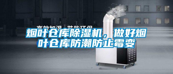烟叶仓库麻豆视频黄网站，做好烟叶仓库防潮防止霉变