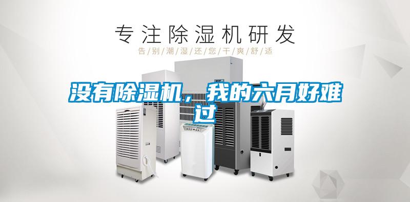没有麻豆视频黄网站，我的六月好难过