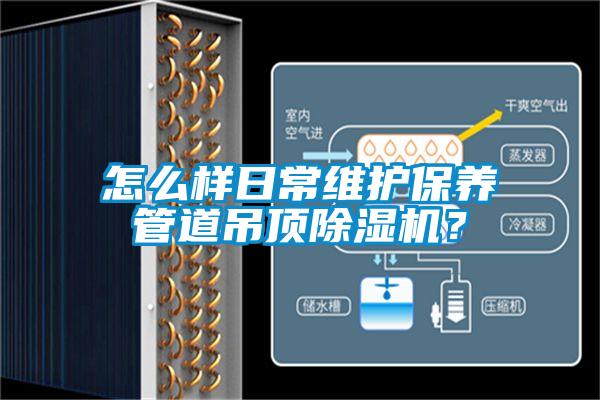 怎么样日常维护保养管道吊顶麻豆视频黄网站？