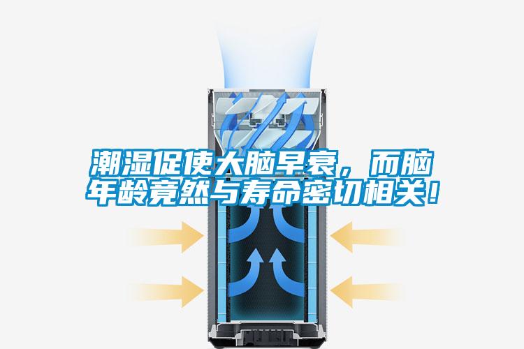 潮湿促使大脑早衰，而脑年龄竟然与寿命密切相关！