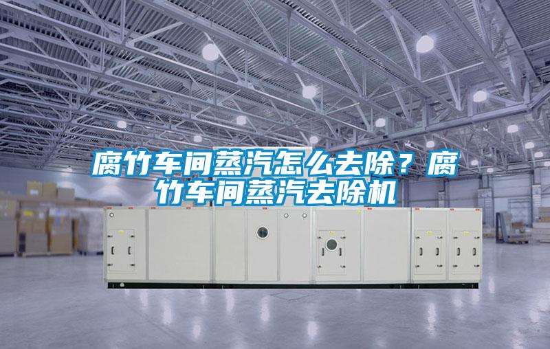 腐竹车间蒸汽怎么去除？腐竹车间蒸汽去除机