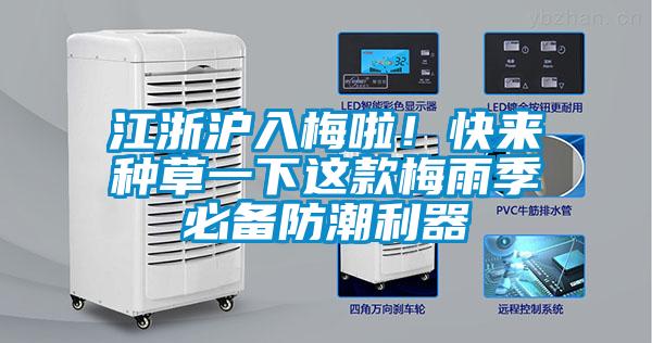 江浙沪入梅啦！快来种草一下这款梅雨季必备防潮利器