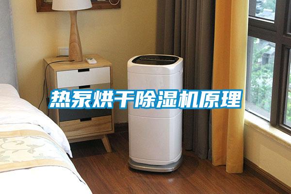 热泵烘干麻豆视频黄网站原理