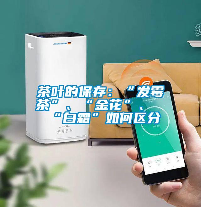 茶叶的保存：“发霉茶”、“金花”、“白霜”如何区分