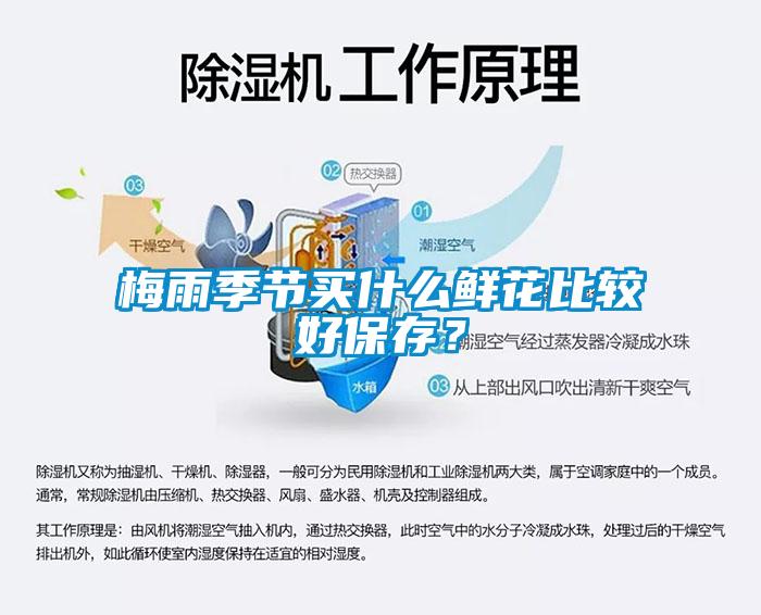 梅雨季节买什么鲜花比较好保存？