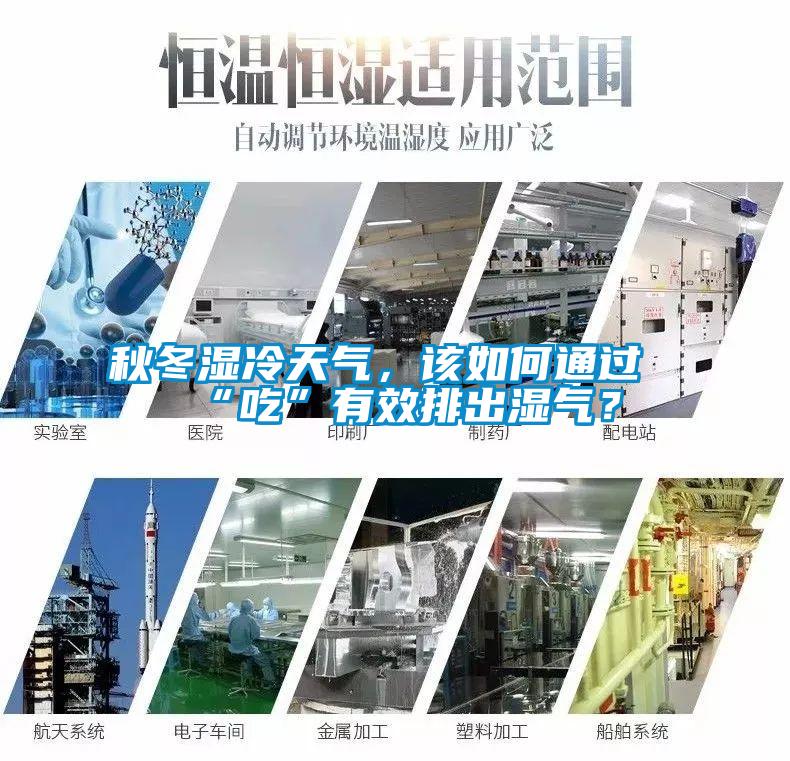 秋冬湿冷天气，该如何通过“吃”有效排出湿气？