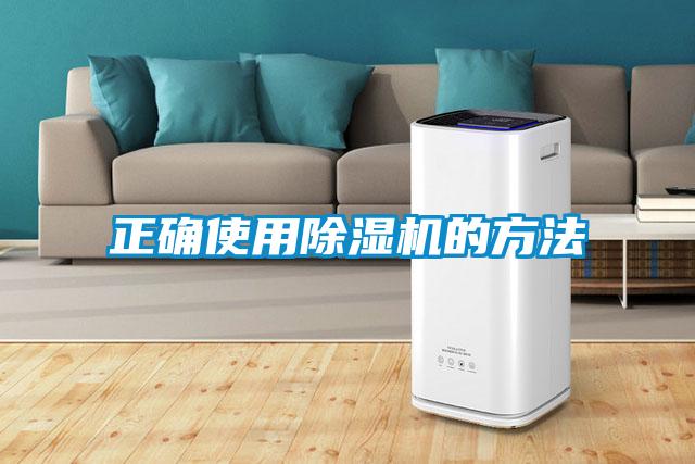正确使用麻豆视频黄网站的方法