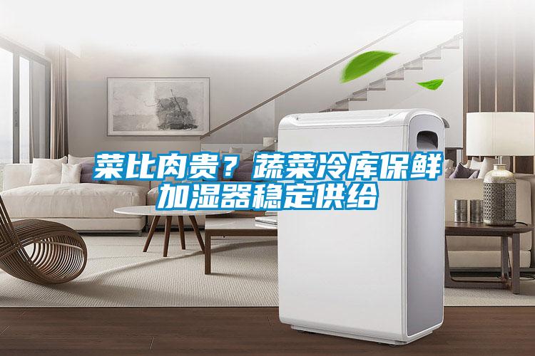菜比肉贵？蔬菜冷库保鲜加湿器稳定供给