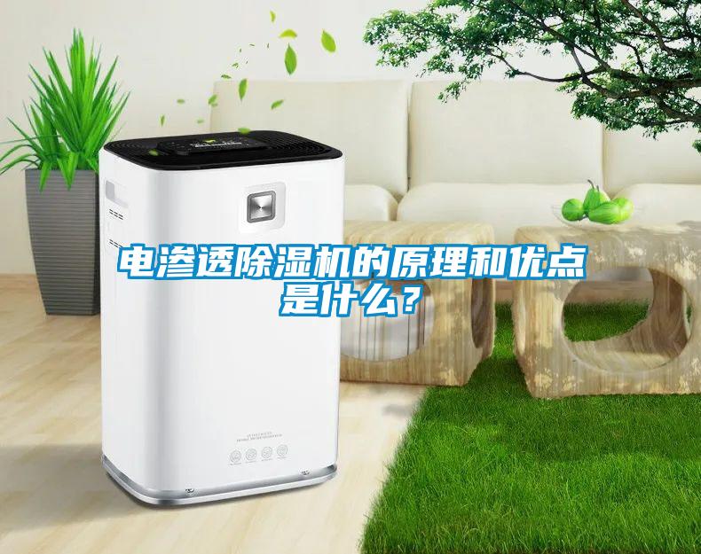 电渗透麻豆视频黄网站的原理和优点是什么？
