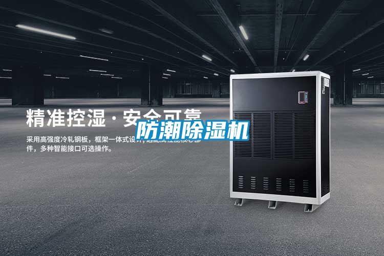 防潮麻豆视频黄网站