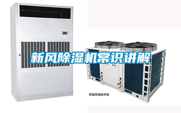 新风麻豆视频黄网站常识讲解