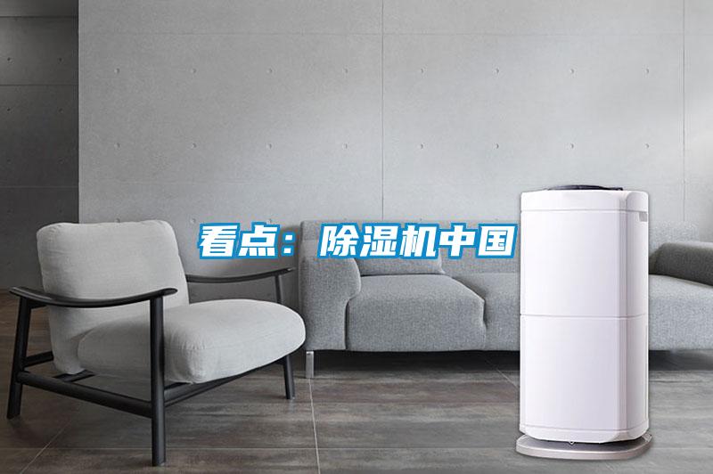 看点：麻豆视频黄网站中国