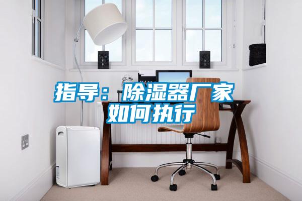 指导：除湿器厂家 如何执行