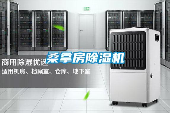 桑拿房麻豆视频黄网站