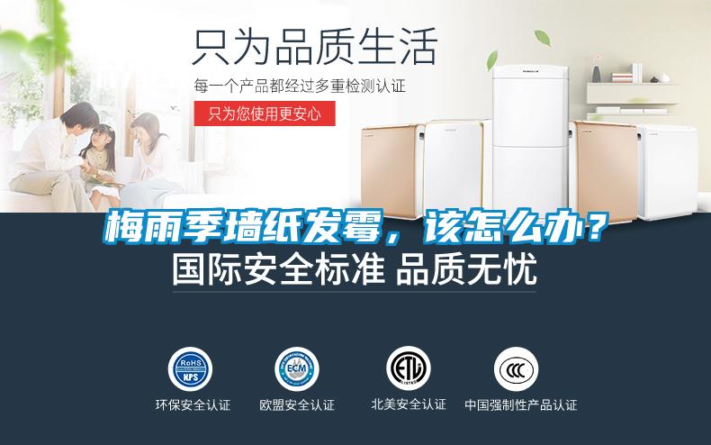 梅雨季墙纸发霉，该怎么办？