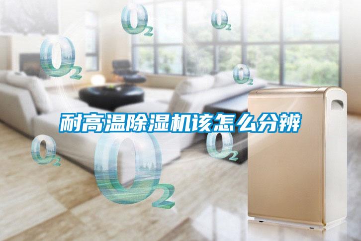 耐高温麻豆视频黄网站该怎么分辨