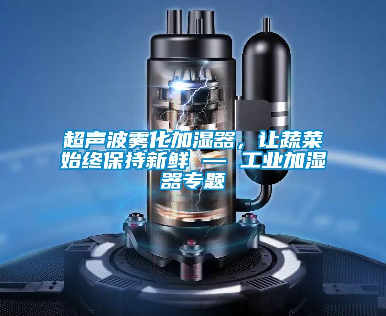 超声波雾化加湿器，让蔬菜始终保持新鲜 — 工业加湿器专题