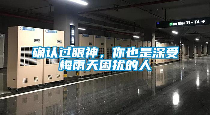 确认过眼神，你也是深受梅雨天困扰的人