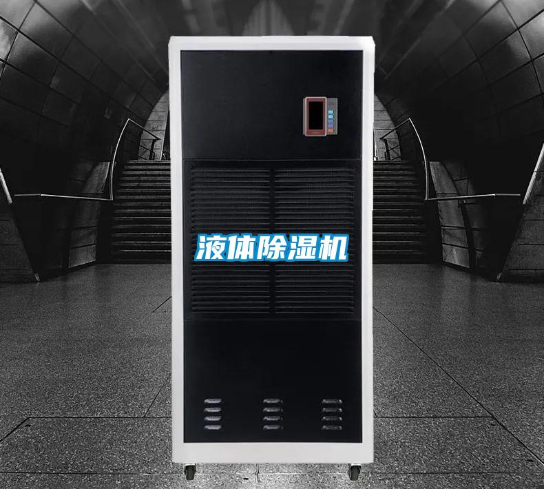 液体麻豆视频黄网站