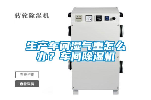 生产车间湿气重怎么办？车间麻豆视频黄网站