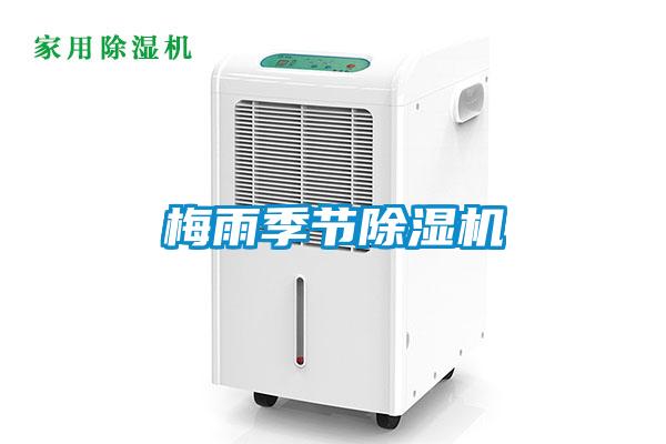 梅雨季节麻豆视频黄网站