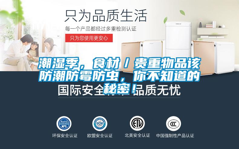 潮湿季，食材／贵重物品该防潮防霉防虫，你不知道的秘密！